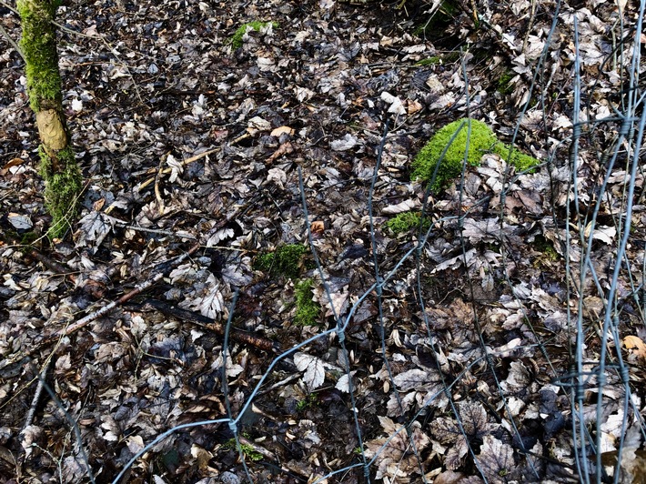 POL-PDWIL: Sachbeschädigung an Wildschutzzaun