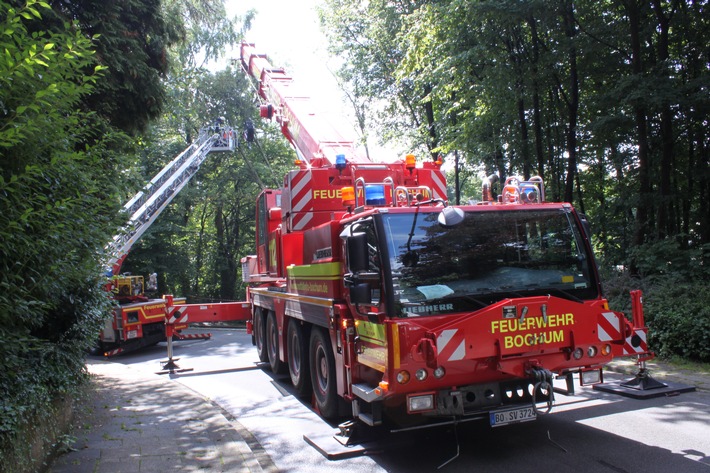FW-BO: Zwei ca. 15 m hohe Bäume drohen zu fallen