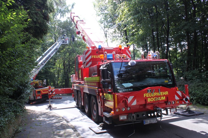 FW-BO: Zwei ca. 15 m hohe Bäume drohen zu fallen