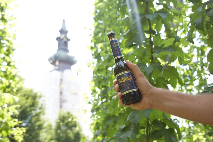 Klösterreich: Wein- und Bierkultur von Weltruf! - BILD