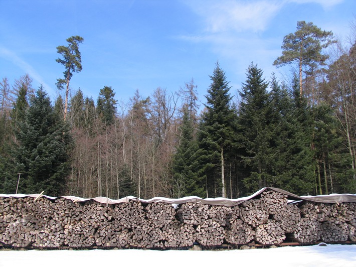 Holzenergie für jedes vierte Schweizer Haus