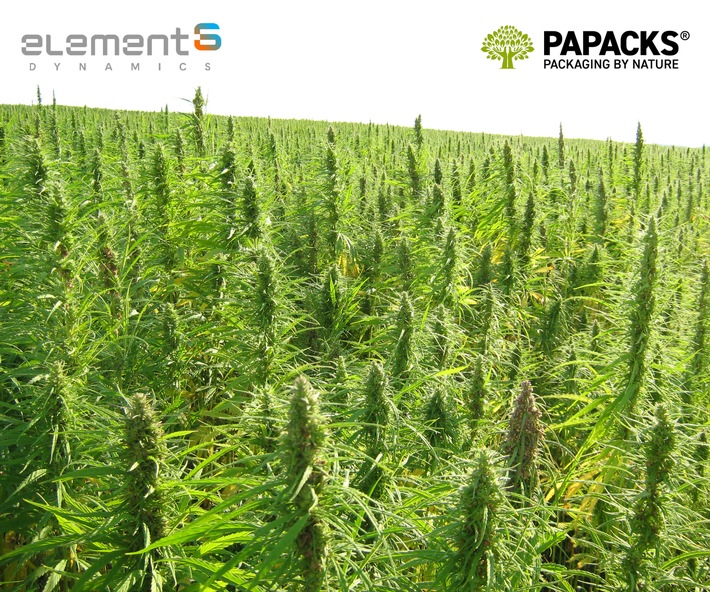 element6 Dynamics and PAPACKS® Announce Partnership Intentions / Largest industrial hemp deal in U.S. history is a milestone for decarbonization efforts