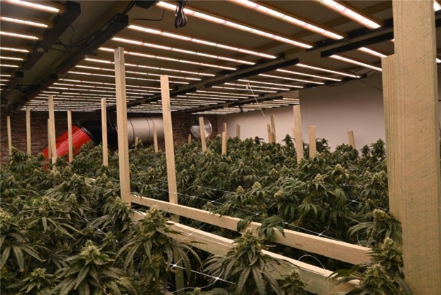 POL-REK: 260721-5: Cannabisplantage in Wohnhaus entdeckt