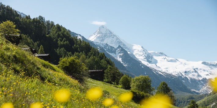 Ricola erzielt in herausforderndem Marktumfeld solides Ergebnis