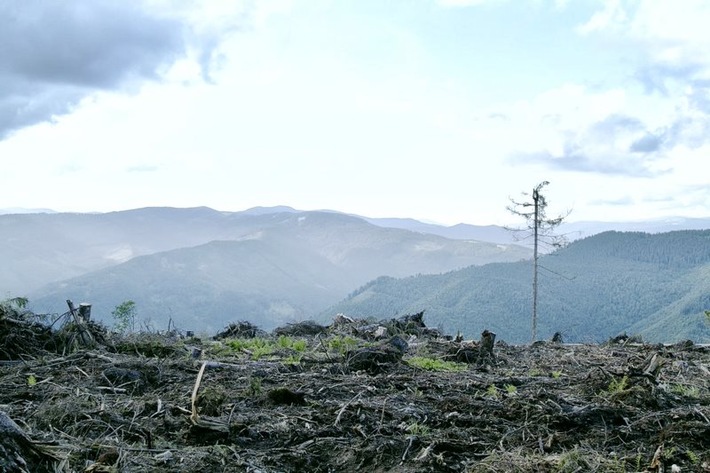 Themenschwerpunkt Klima im ZDF: Dokus von "planet e." und "auslandsjournal"