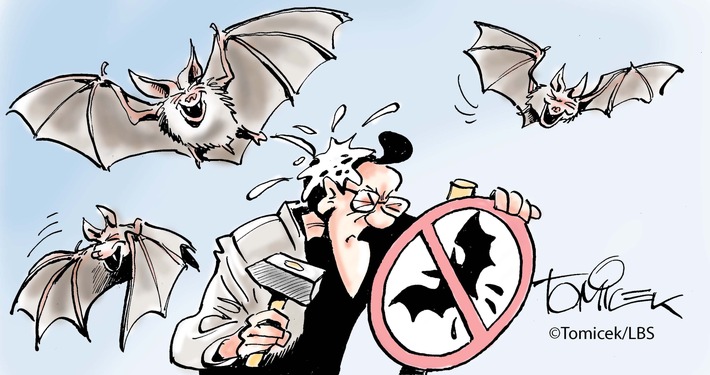 Ortsübliche Fledermäuse / Ihre Ausscheidungen sind in gewissen Grenzen hinzunehmen