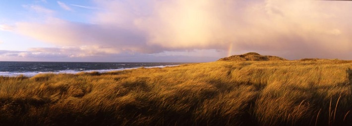 Mehr Sylt