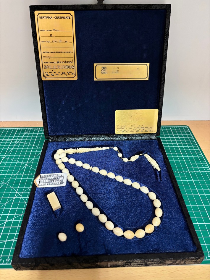 HZA-SB: Tag des Artenschutzes am 3. März: Erfolgreiche Zollkontrolle am Flughafen Saarbrücken; Zoll entdeckt Elfenbeinketten im Gepäck eines Reisenden aus Antalya