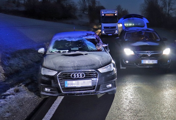 POL-HX: Reh landet in der Windschutzscheibe / Polizei warnt vor Wildunfällen