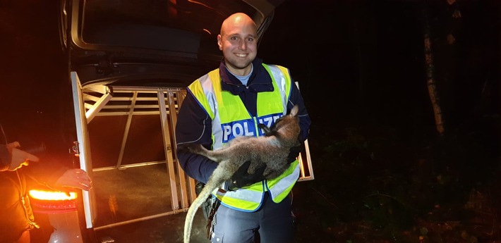 POL-WES: Sonsbeck / Xanten / Alpen- Känguru Alarm in Sonsbeck