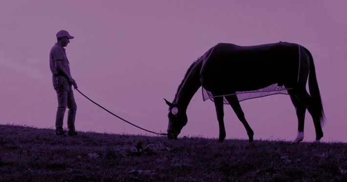 OLYMPIA 2024: &quot;Be a Guardian&quot; - FEI ruft Initiative zum Wohle der Pferde ins Leben
