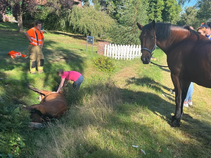 FW-OLL: Pony aus misslicher Lage befreit