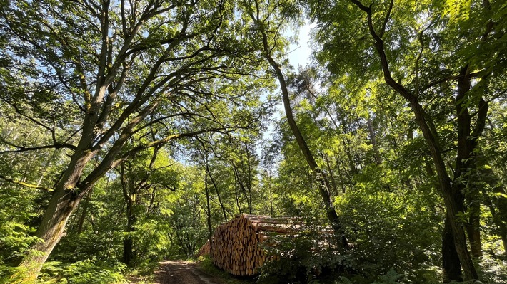 Verbändeanhörung zum Klimaschutzprogramm