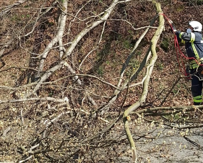 FW-EN: Baum auf Fahrbahn