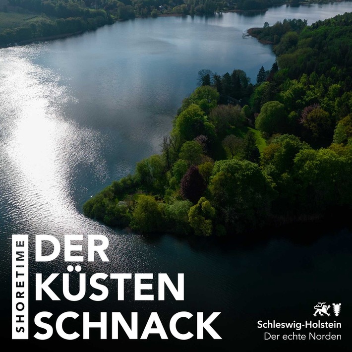 75. „Küstenschnack“-Podcast-Folge: Abtauchen im Wald