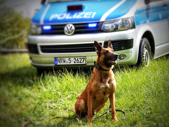 POL-HA: Diensthund "Ragnar" stellt Einbrecher in Baumarkt