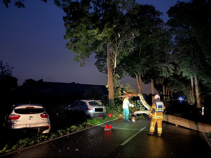 FW Tönisvorst: Ein umgestürzter Baum sorgte für einen Unfall zwischen zwei ausweichenden Fahrzeugen und sorgte für erhebliche Verkehrsstörung, verletzt wurde niemand