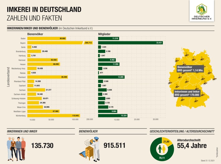 DIB Infografik Statistik 2022.jpg
