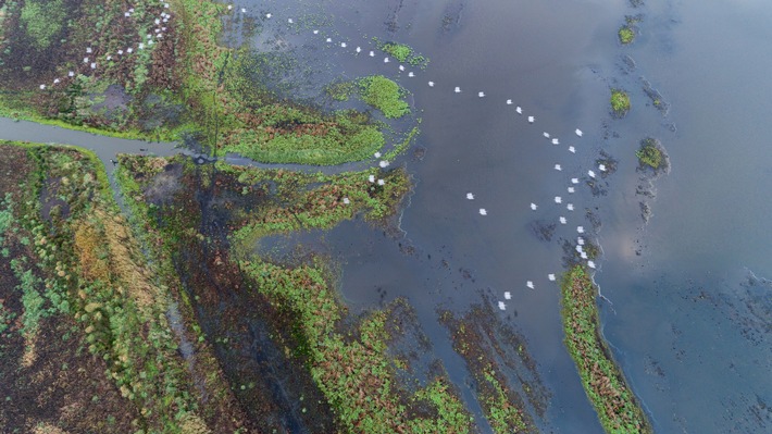 Global Nature Fund und European Living Lakes Association fordern Sofortmaßnahmen zum Gewässerschutz