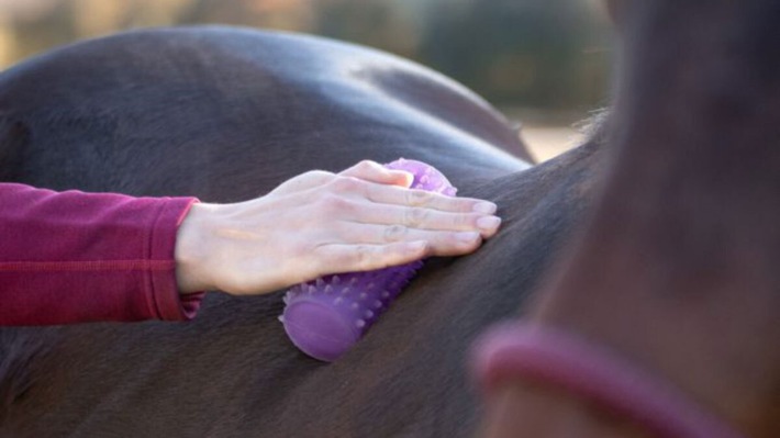 Rückenbeschwerden bei Pferden - 5 Tipps, wie man für einen starken Pferderücken sorgt