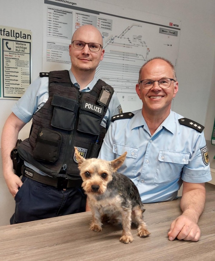 Bundespolizeidirektion München: "Rocky auf Abwegen - Bundespolizei bringt Ausreißer sicher zurück"