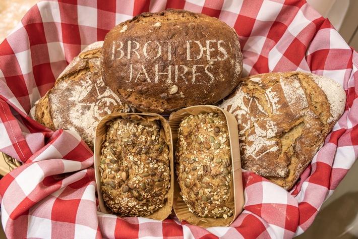Brot des Jahres 2023: Das Deutsche Brotinstitut ernennt das Kürbiskernbrot