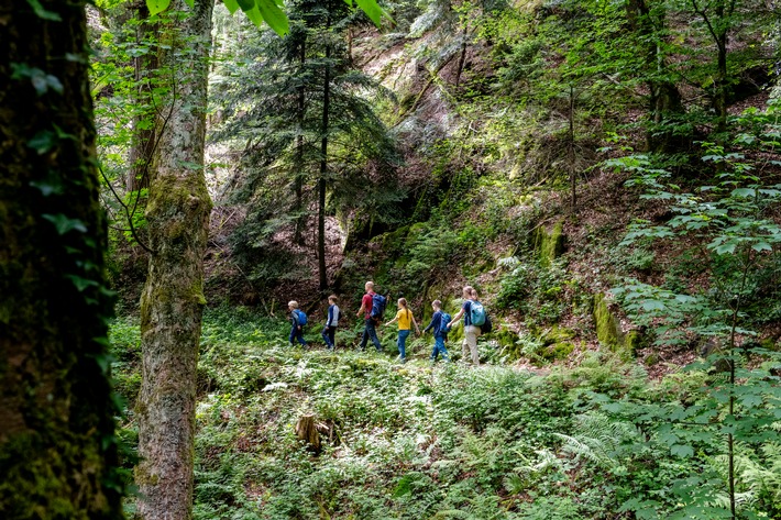Ein Wald voller Geschichten