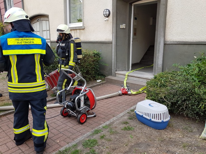 FW-EN: Gemeldeter Wohnungsbrand - Feuerwehr rettet Katze-