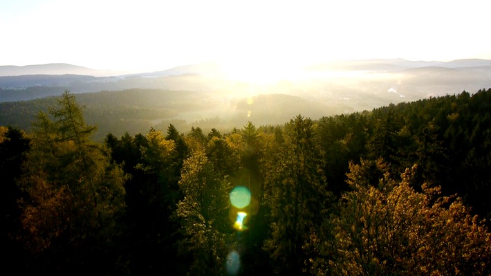 3sat: "Wissenschaft am Donnerstag" über die heilsame Kraft der Natur