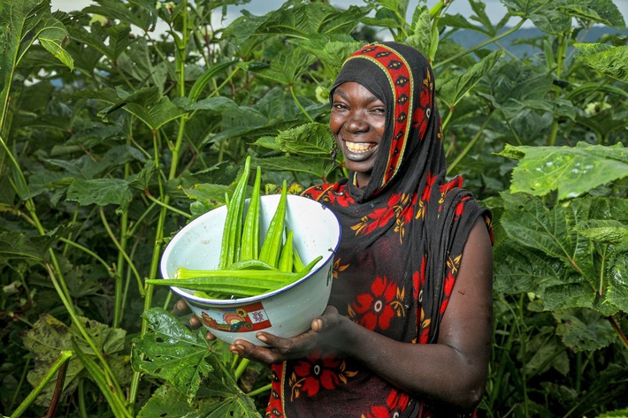 Humanitärer Bedarf nimmt zu, staatliche Unterstützung nimmt ab