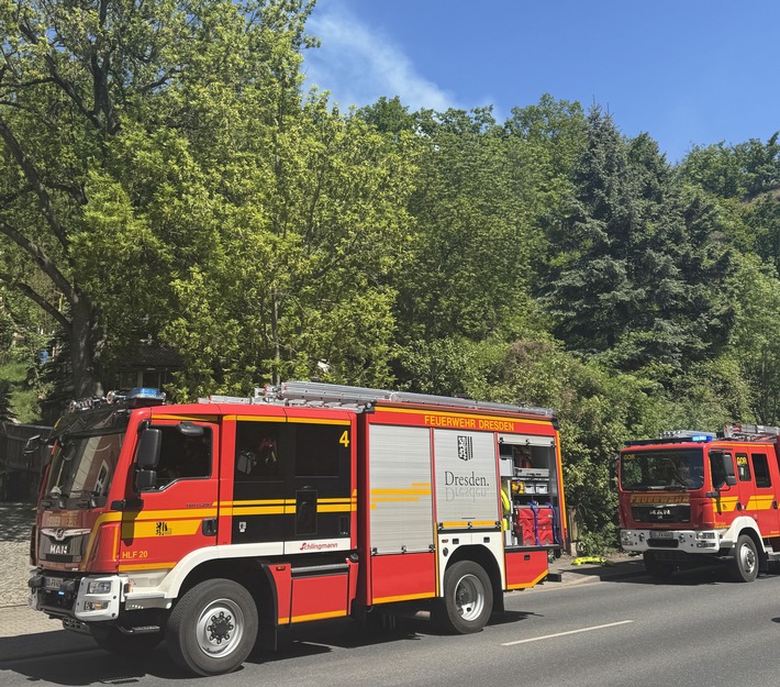 FW Dresden: Vegetationsbrand am Luftbad Dölzschen - rund 300 Quadratmeter Waldboden betroffen