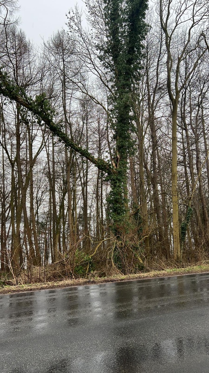 FW-PLÖ: Orkantief "Zeynep" hält Feuerwehren im Kreis Plön auf trapp