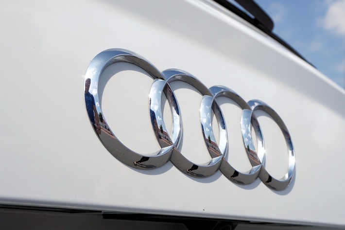 Experte Borgeest: Benziner-Skandal wird sich ausweiten / Gutachten stellt Manipulation an Audi Q5 fest
