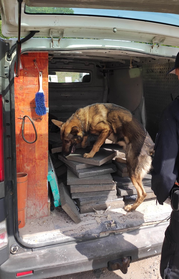 POL-DU: Wanheimerort: Polizeihund Fritz findet Drogen im Handschuhfach