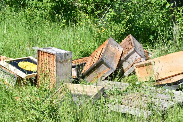 POL-ME: Honigwabenkisten von Bienenvolk entwendet - die Polizei ermittelt - Langenfeld - 2106019