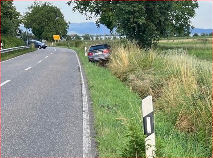 POL-PDLD: Pkw-Fahrer kommt von der Fahrbahn ab