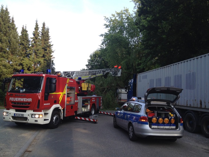 FW Lage: Baum auf Wohnmobil und Straße