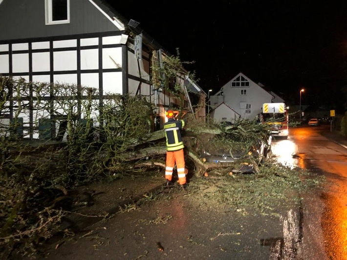 FW-EN: Baum stürzt auf Auto