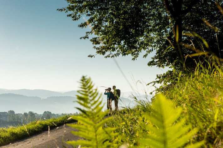 Wandern in den Herbst auf dem Qualitätsweg Goldsteig / Kürzere Touren für ein grandioses Saisonfinale am Qualitätswanderweg Goldsteig