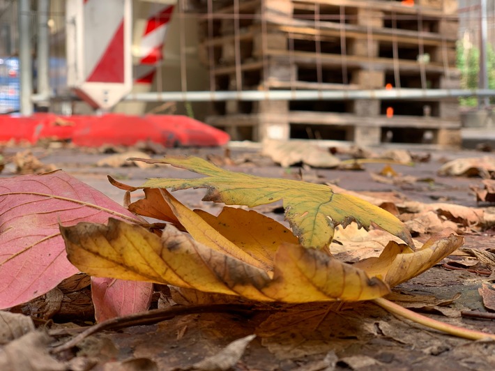 Herbstliche Witterung: Wie man auf Baustellen trittsicher bleibt