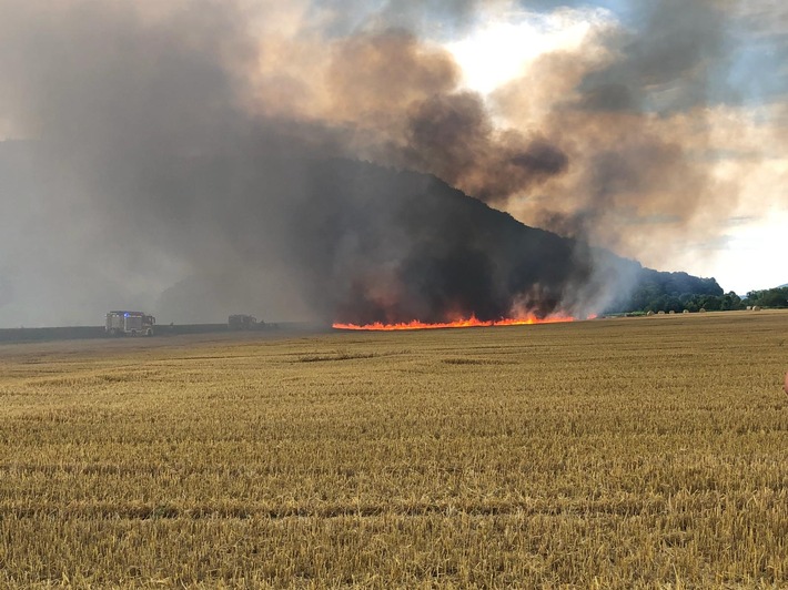 POL-PDKO: Anschlussmeldung zu Auftragsnummer 3383325 - Flächenbrand Andernach Stadtteil Namedy