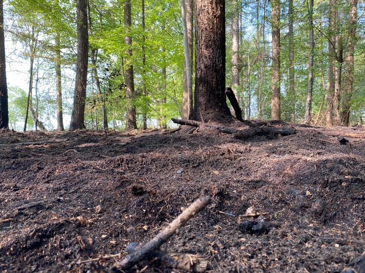 FW-Dorsten: Waldbrand in den frühen Morgenstunden