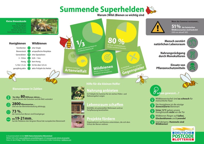 1. Weltbienentag: Rettet die summenden Superhelden