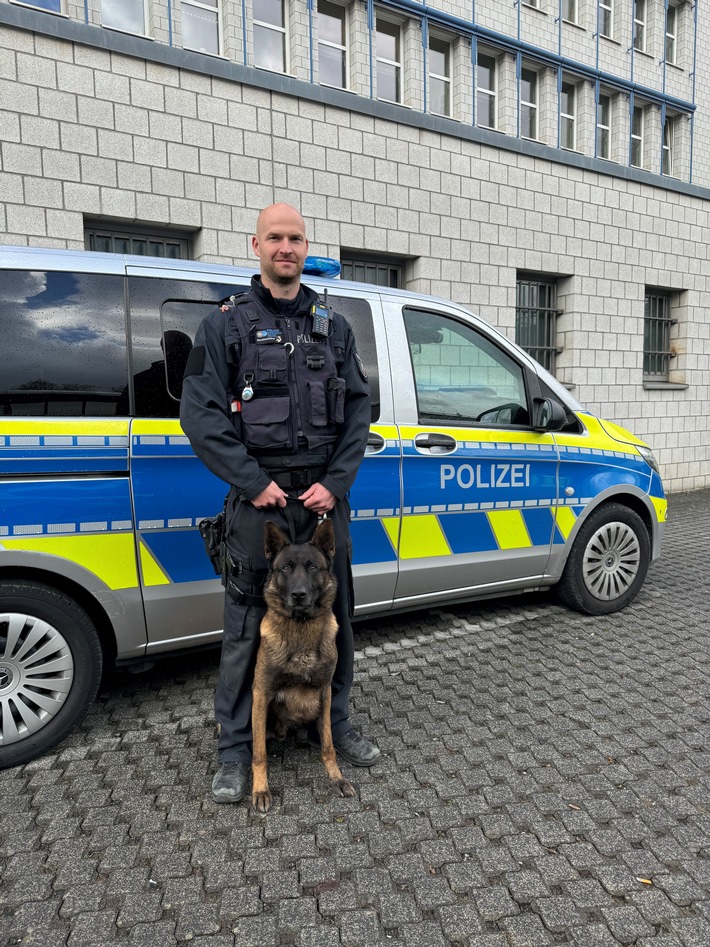 POL-SI: Nach bestandener Prüfung: Diensthund Luc ist offiziell Personenspürhund - #polsiwi