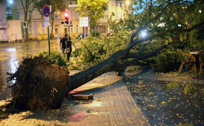 Sturmtief "Burglind": Provinzial rechnet mit Schäden um die 15 Mio. Euro