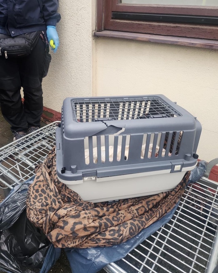 POL-DU: Alt-Homberg: Zwei tote Katzen gefunden - Polizei sucht Zeugen