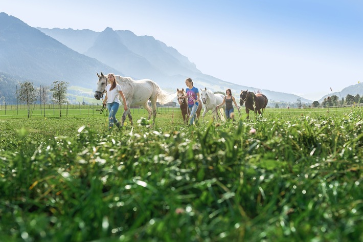 Sattelt die Pferde, wir reiten in die Berge