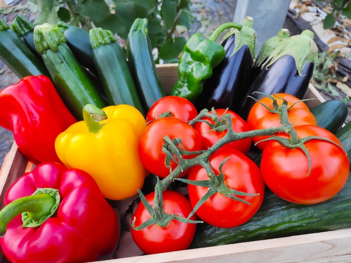 Qualität und Geschmack / Auf diese beiden Kriterien legen europäische Verbraucher beim Kauf von Obst und Gemüse besonders Wert