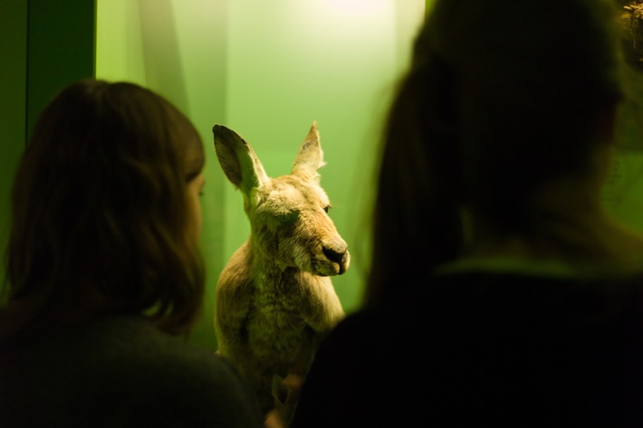 15. Museumsnacht Bern - 17. März 2017