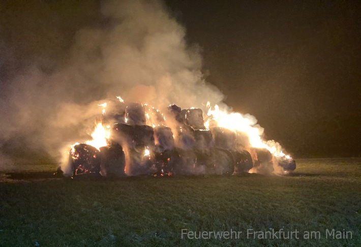 FW-F: Heuballen brennen auf den Schwanheimer Wiesen